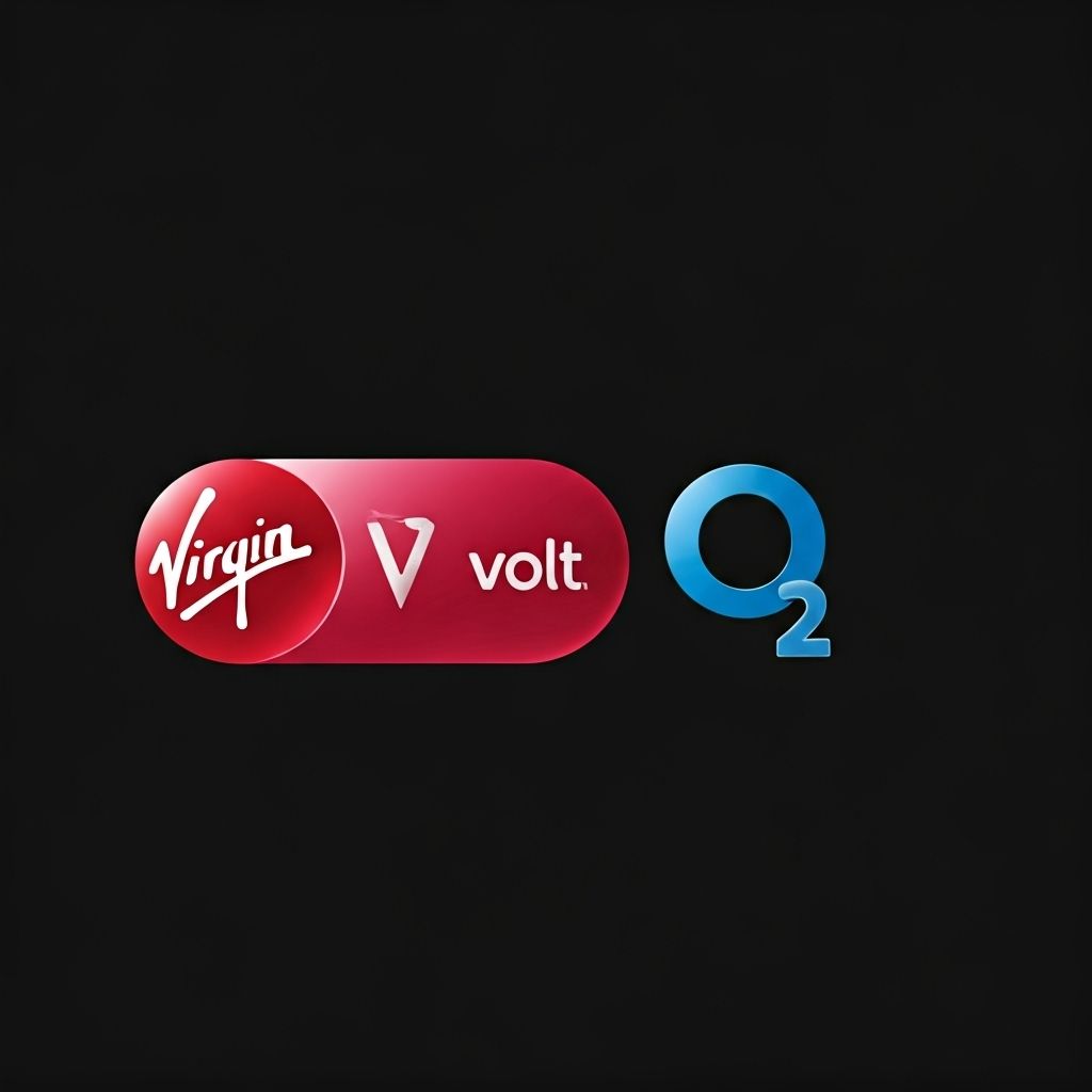 Volt partnership